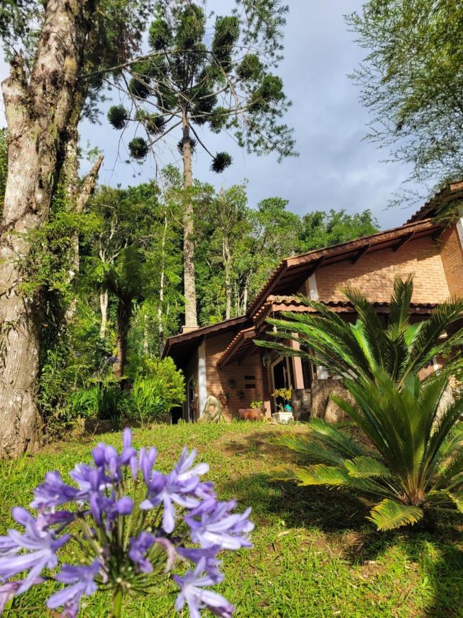 モンテ・ヴェルデ Casa Da Solヴィラ エクステリア 写真